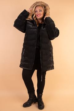 Immagine di PLUS SIZE QUALITY QUILTED JACKET WITH FUR HOOD